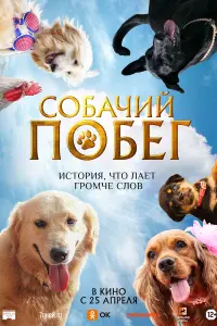  Собачий побег смотреть онлайн в хорошем качестве