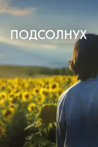 Смотреть Подсолнух 